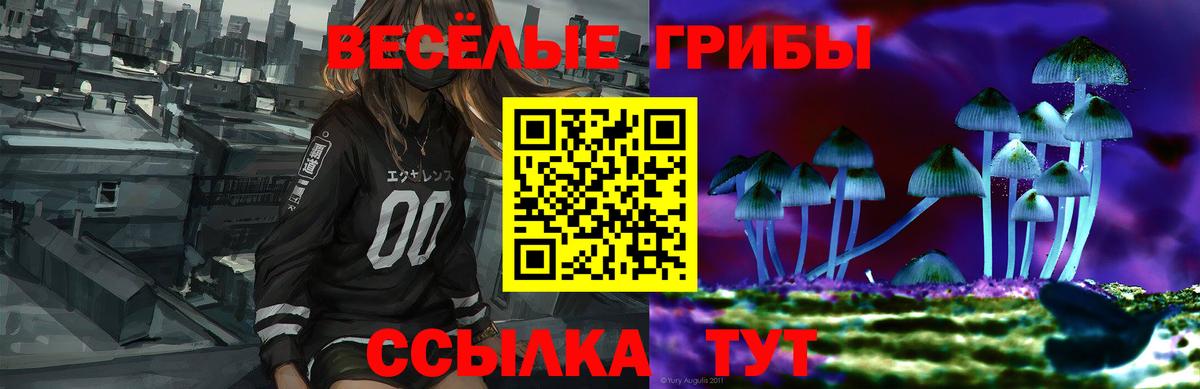 Псилоцибиновые грибы Magic Shrooms Дзержинск